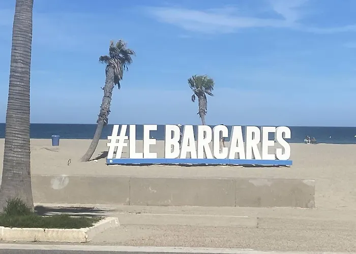 Duplex Avec Parking Privé, Ascenseur, Accès Et Wifi - 2 - Fr-1-782-44 Appartement Le Barcarès